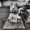 招かれたくない猫