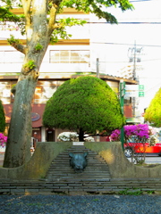 ライオン