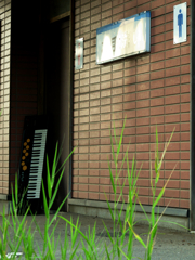 休園