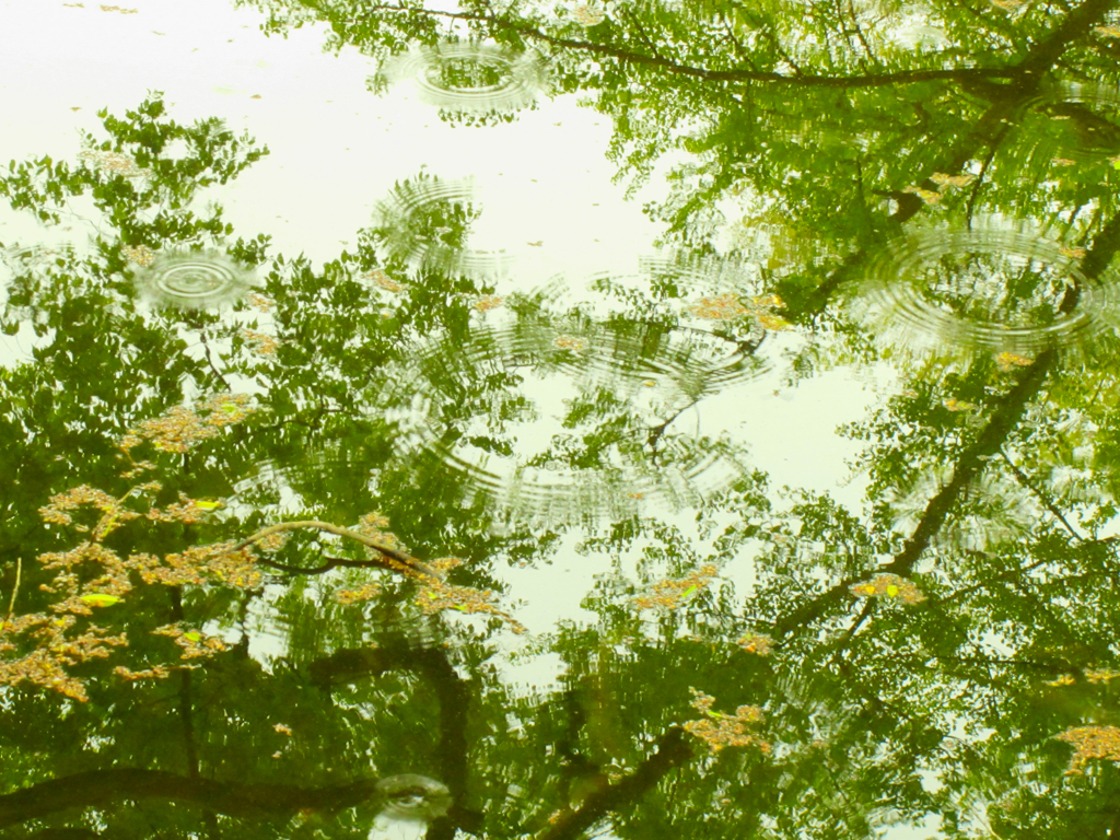 雨