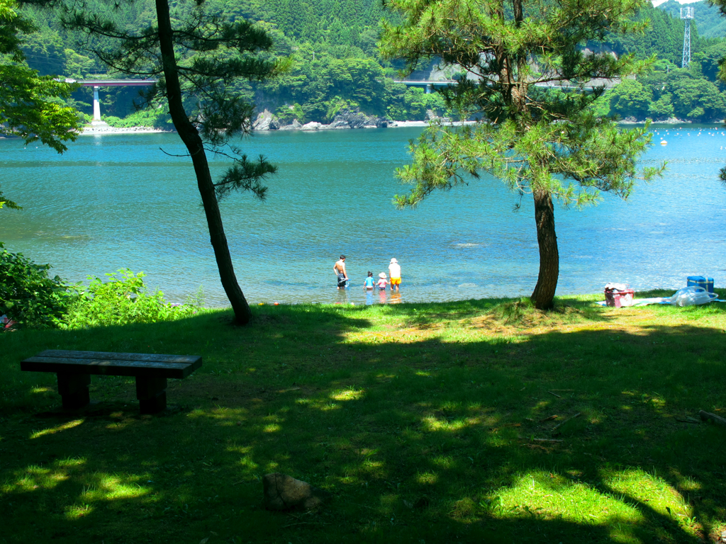 木陰と海