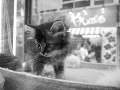 2012.12.31 TOKYO