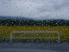久しぶりの雨