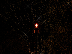 STARMAN★RED