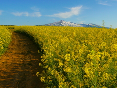 山へ行く道
