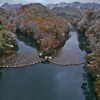 水守のいる風景