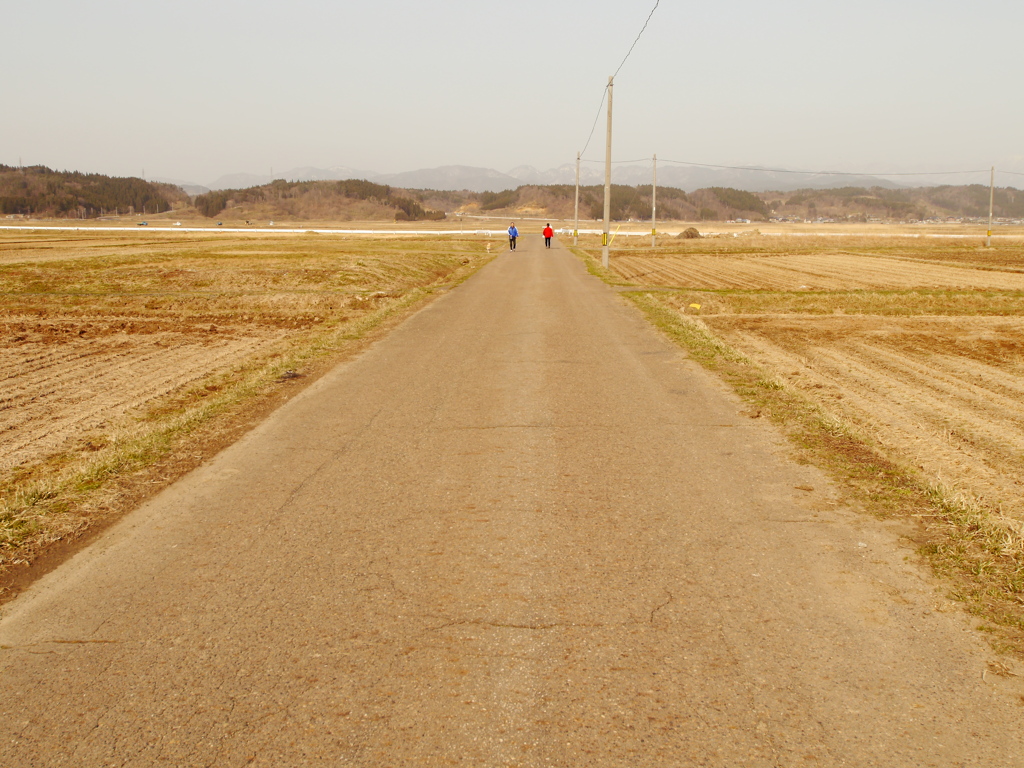 春の田んぼの散歩道