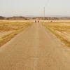 春の田んぼの散歩道