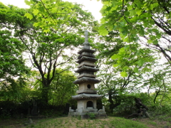 宝塔寺新緑1