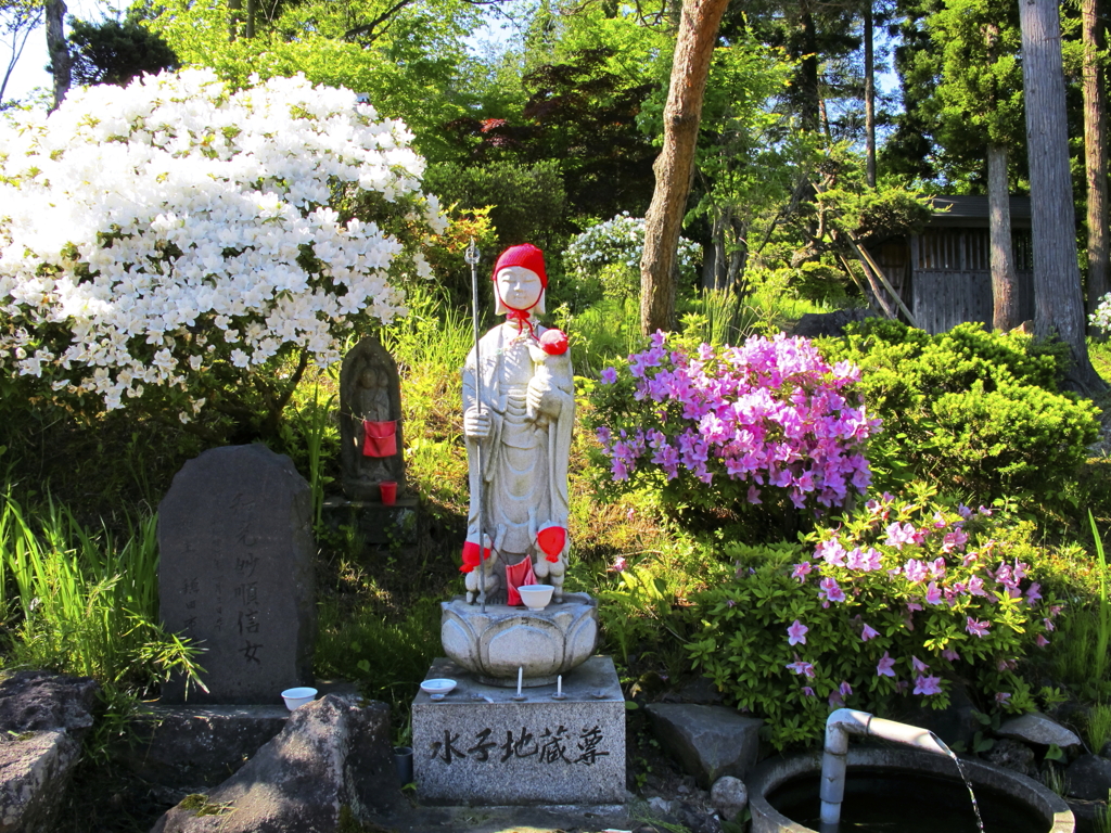 花、咲く