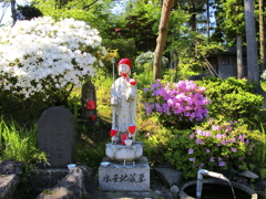 花、咲く