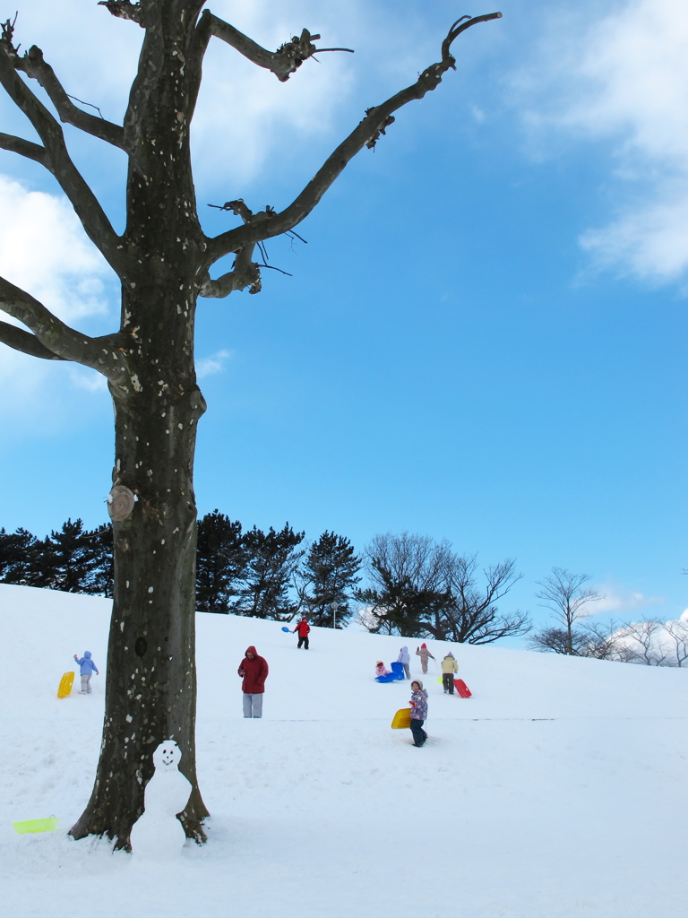 日曜日、公園で。
