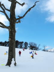 日曜日、公園で。