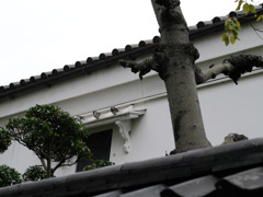蔵