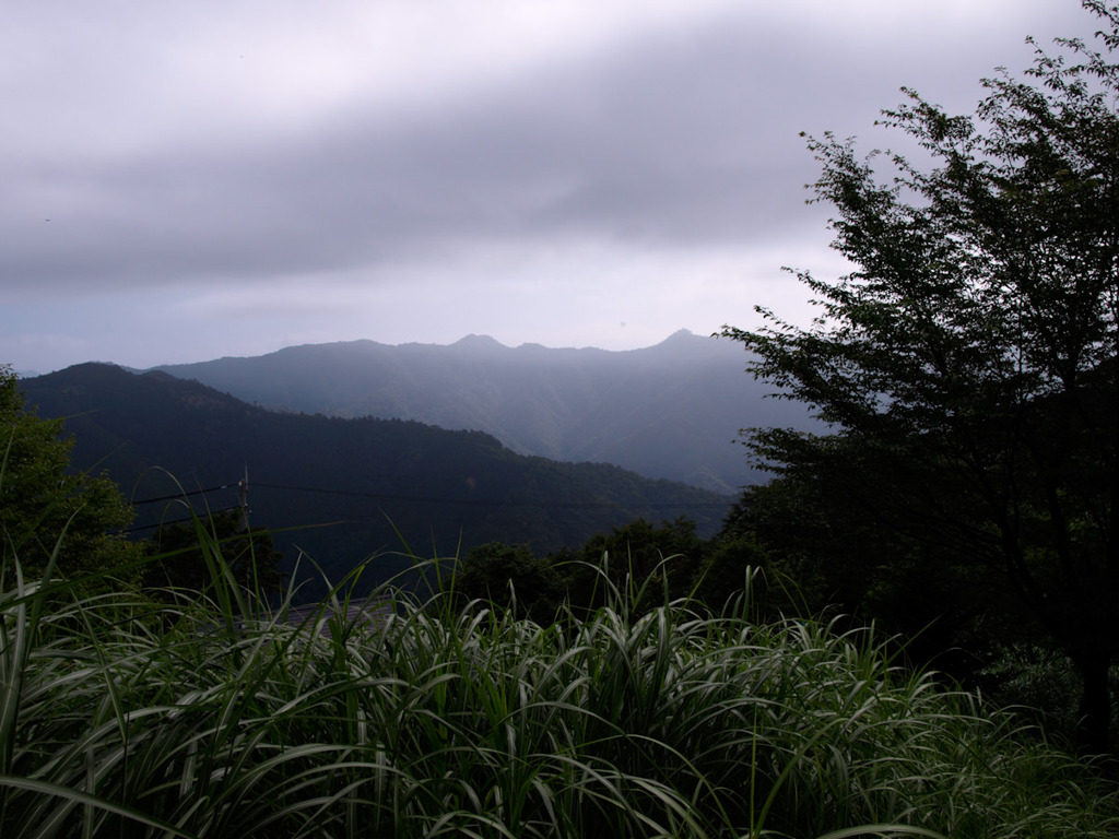 和佐又山