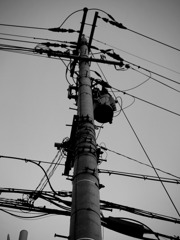 電柱