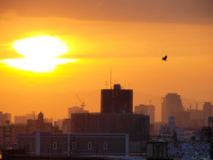 夕焼け