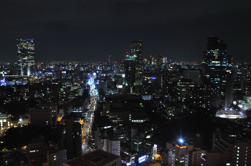_DSC0116