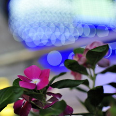 _DSC0047