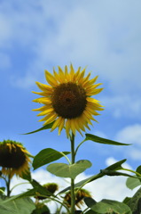 _DSC0120