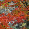 _DSC0079