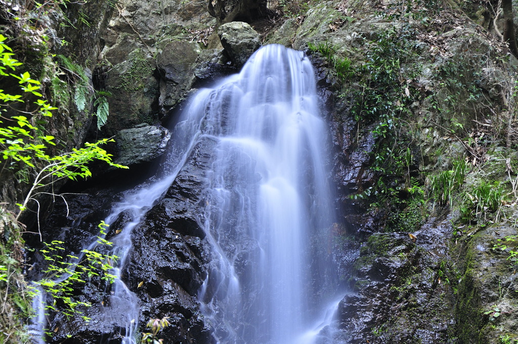 _DSC0236