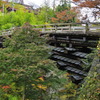 _DSC0200