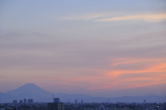 _DSC0010