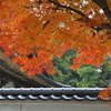 _DSC0118