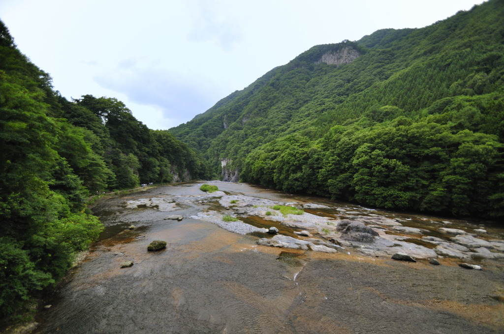 _DSC0309
