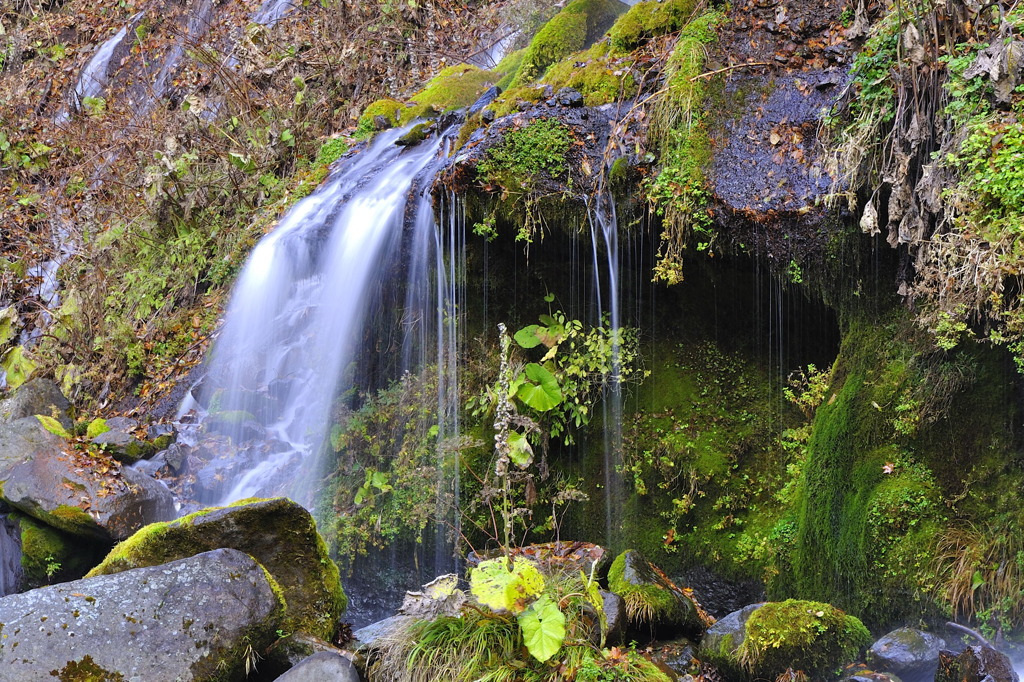 _DSC0017