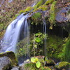 _DSC0017