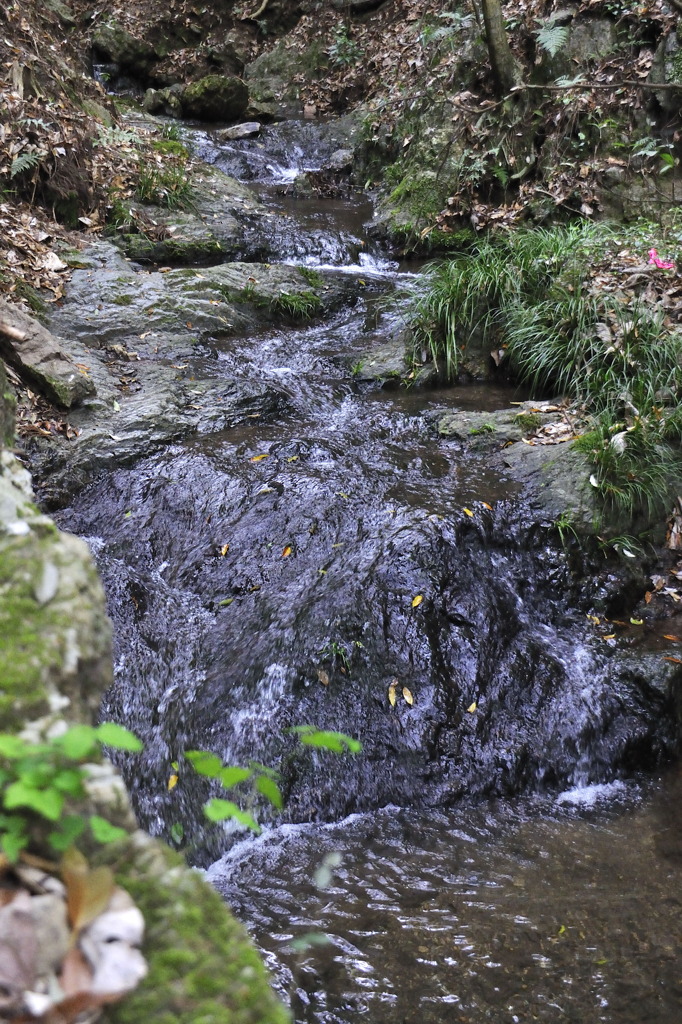 _DSC0217
