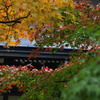 _DSC0163