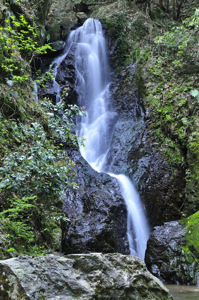_DSC0232