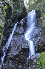 _DSC0239
