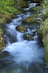 _DSC0050
