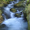 _DSC0050