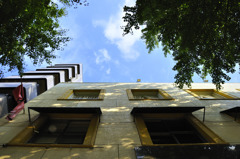 _DSC0101