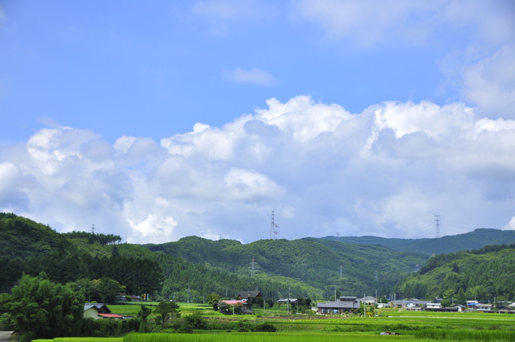 _DSC0164