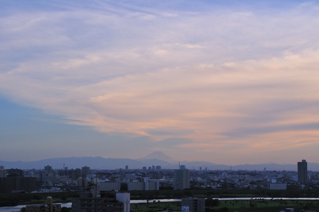 _DSC0005_1