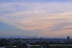 _DSC0005_1