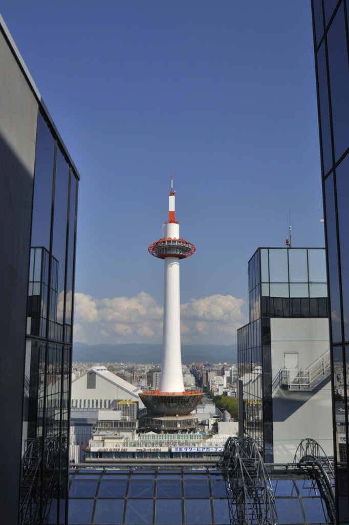 _DSC0101
