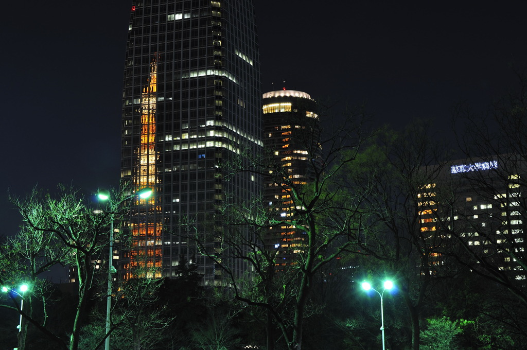 _DSC0195