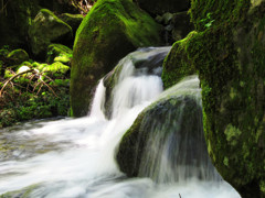 美ヶ原山麓清流