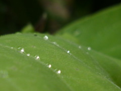 P1040281