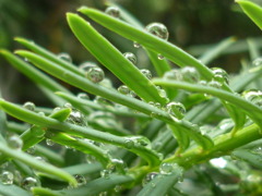P1040270