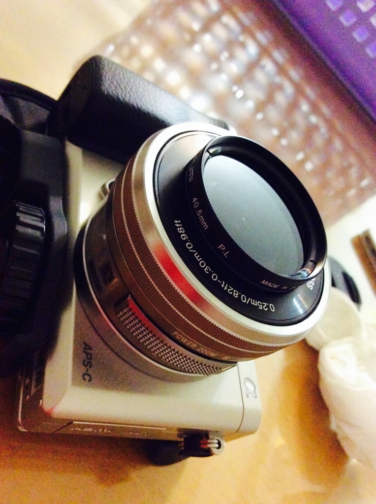 大切な大切な相棒。