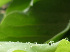 P1040284