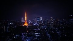 ~tokyo tower~